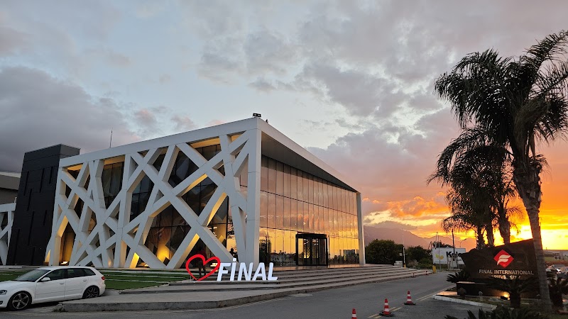 Final International University