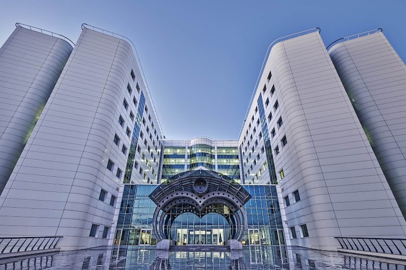 Near East University Hospital
