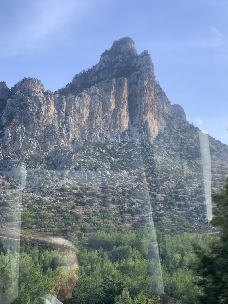 Kyrenia Animal Rescue