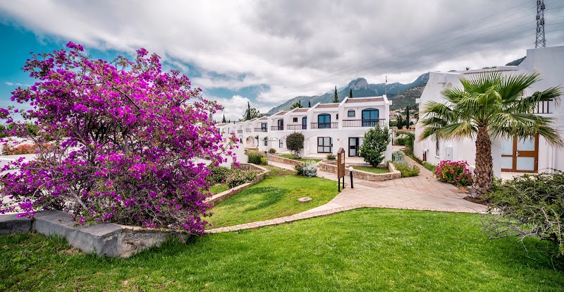 Olive Tree Hotel