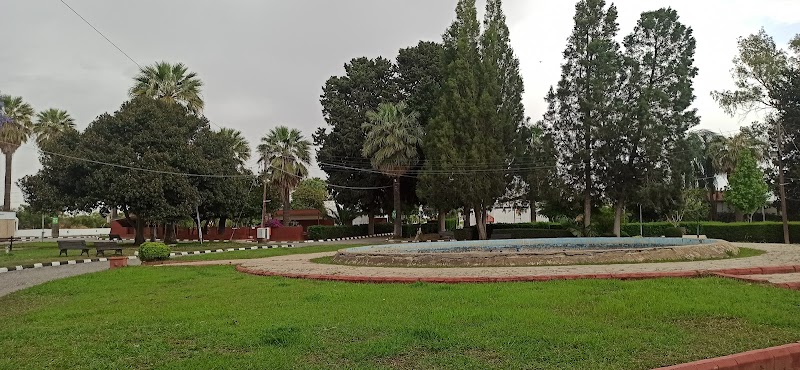 Güzelyurt Citrus Festival