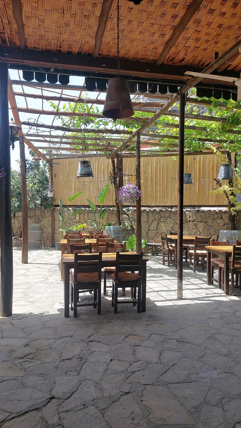 The Old Grapevine