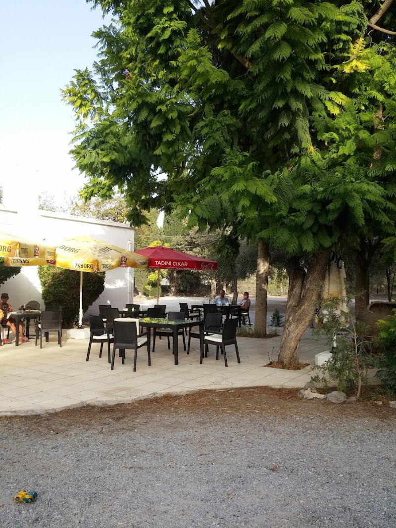Courtyard Inn